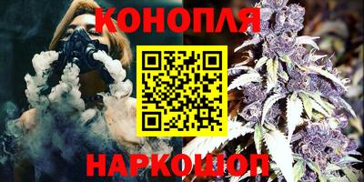 прущие грибы Гусиноозёрск