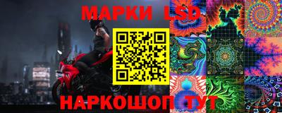 прущие грибы Гусиноозёрск